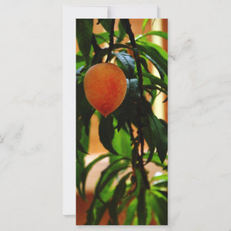Carte Juste Peachy