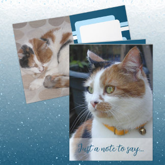 Carte Juste une note pour dire 3 photos de chat bleu