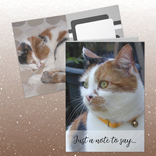 Carte Juste une note pour dire 3 photos de chat gris (Créateur téléchargé)
