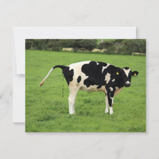 Carte kackende Kuh