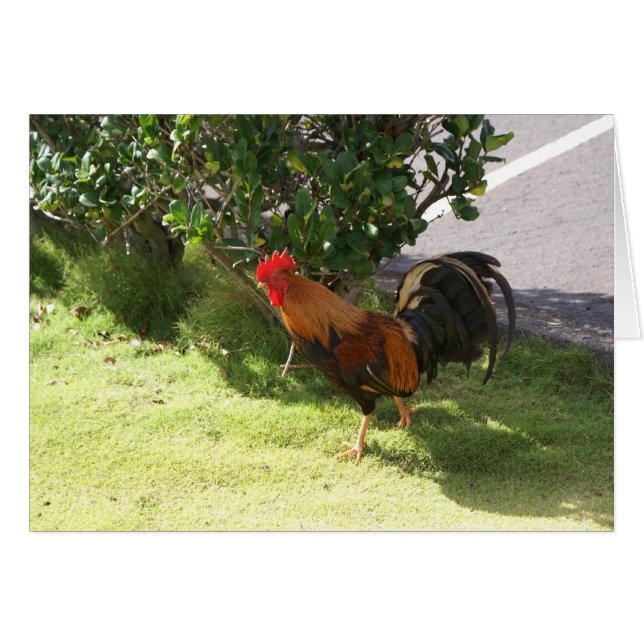 Carte Kauai Rooster (Devant Horizontal)