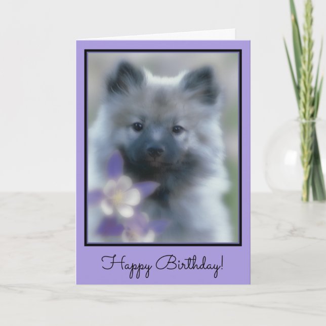Carte Keeshond et Columbine - Photo de chien (Devant)