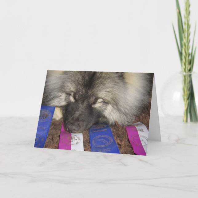 Carte Keeshond Show Puppy (Devant)