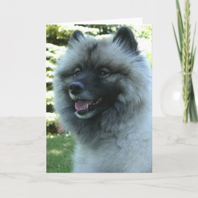 Carte Keeshound (Devant)