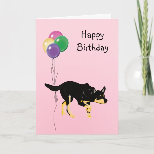 Carte Kelpie australienne, Ballons d'anniversaire (Devant)