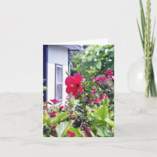 Carte Ketmie bonjour