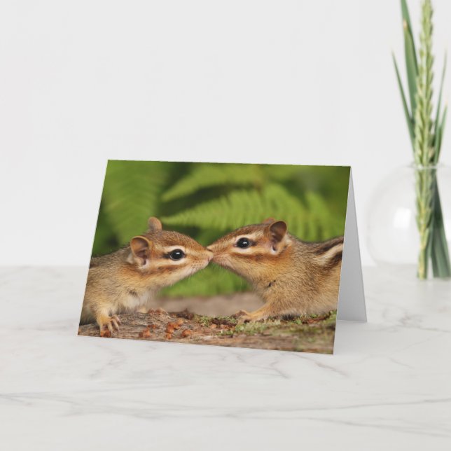 Carte Kissing Baby Chipmunks (Devant)