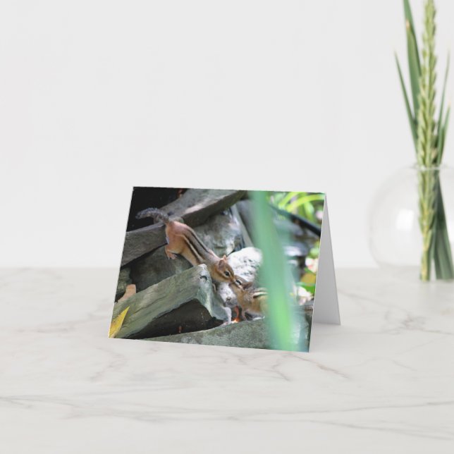 Carte Kissing Chipmunks (Devant)