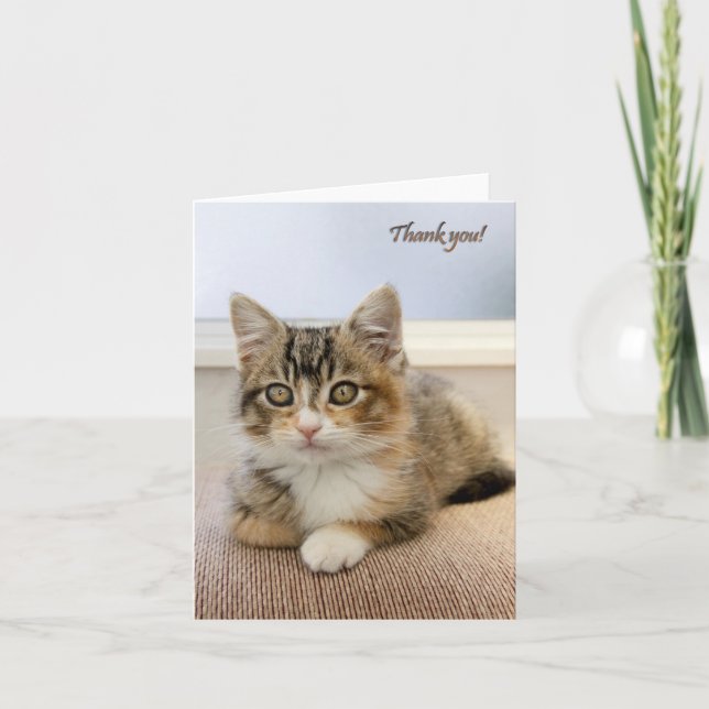 Carte Kitten (Devant)