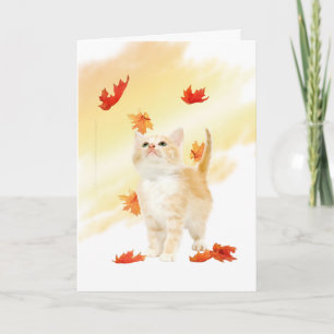 Carte Kitten Automne
