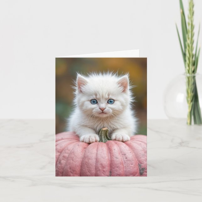 Carte Kitten blanc sur Citrouille rose (Devant)