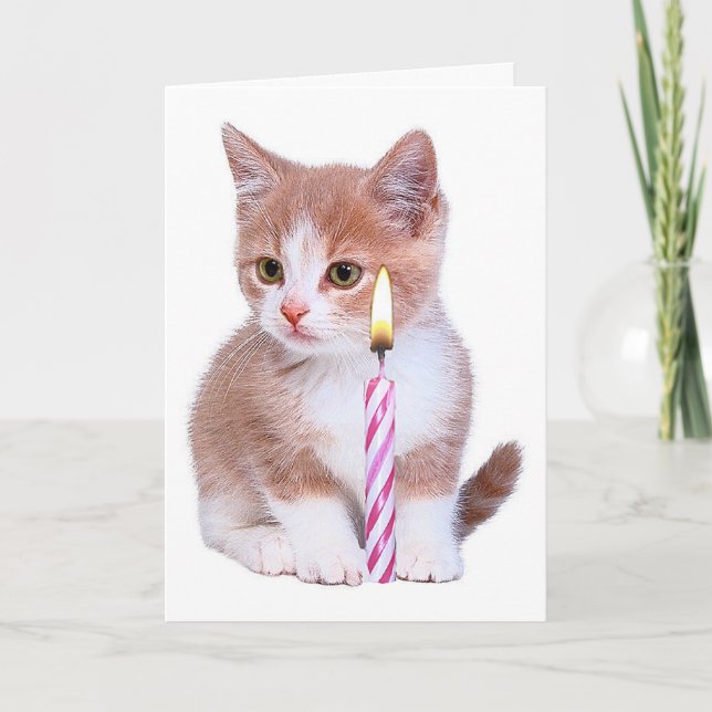 Carte Kitten et une bougie rose (Devant)