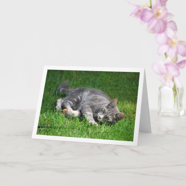 Carte Kitten gris allongé sur la pelouse (Orchidée)