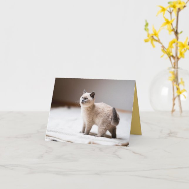 Carte Kitten Love (Fleur jaune)