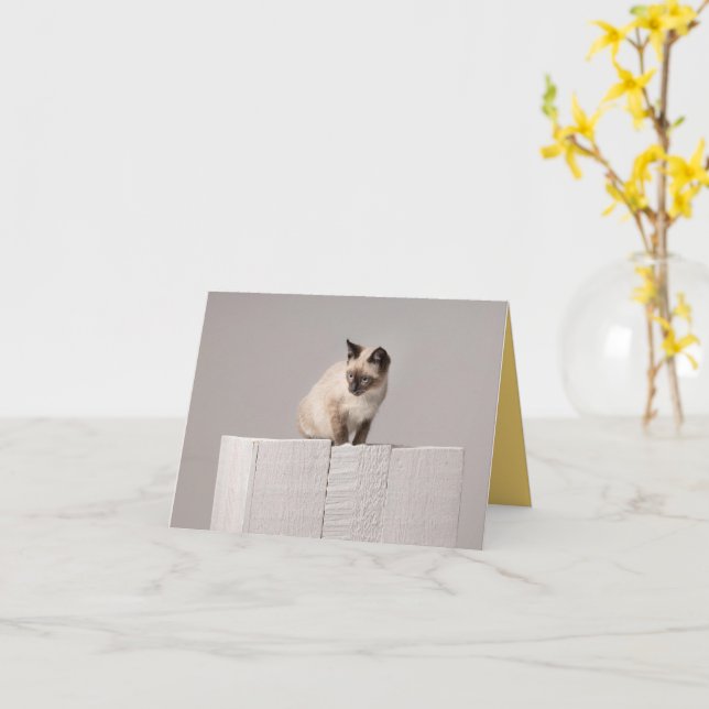 Carte Kitten Love (Fleur jaune)