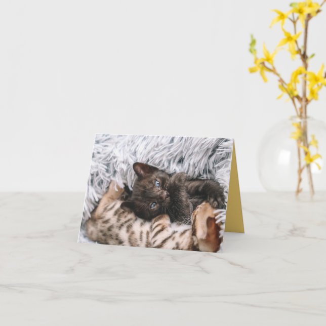 Carte Kitten Love (Fleur jaune)