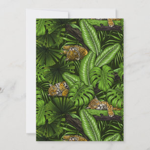 Carte Kittés de la jungle