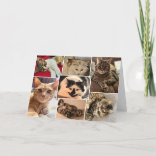 Carte Kitties du comté de Johnston