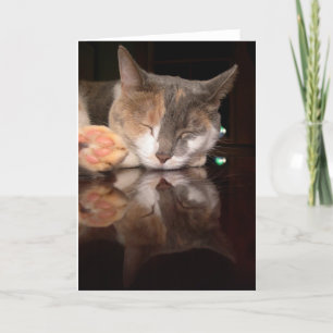 Carte Kitty réfléchi