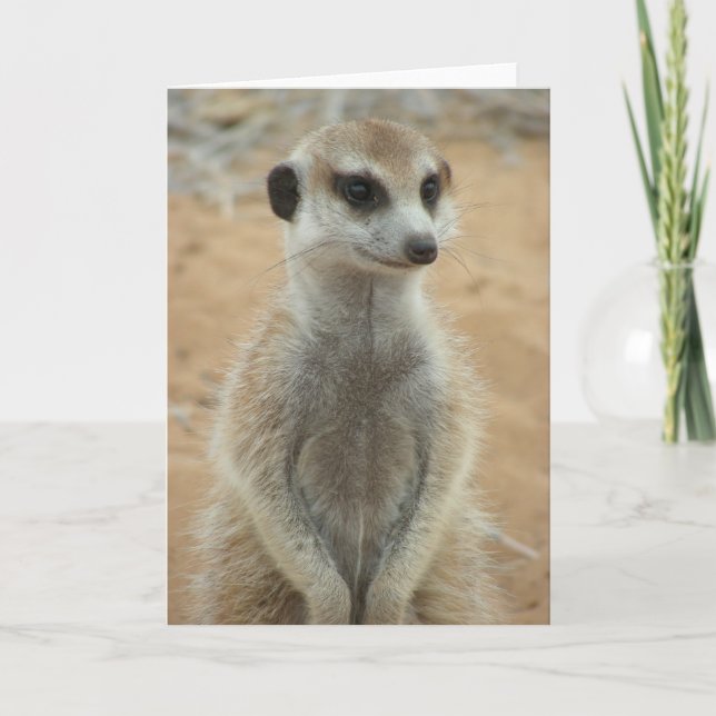 Carte KMP 3 - Hemulen Moomins (Devant)