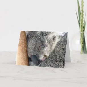 Carte koala dort