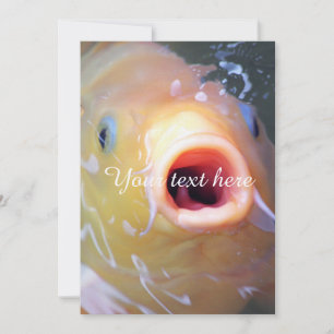 Carte Koi, le chanteur de Falln