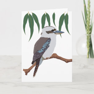 Carte Kookaburra
