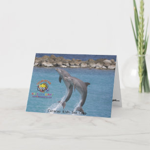 Carte ksc_dolphin_, camp marin pour enfants de Curacao