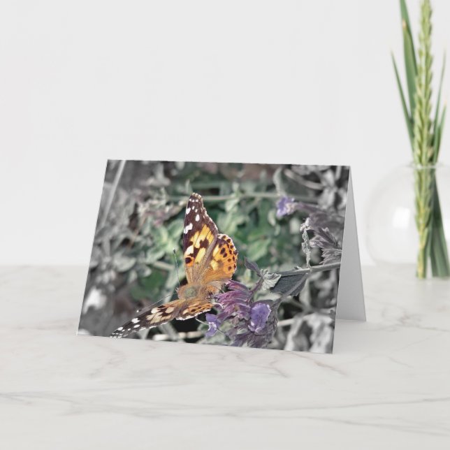 Carte La beauté dans la nature (Devant)