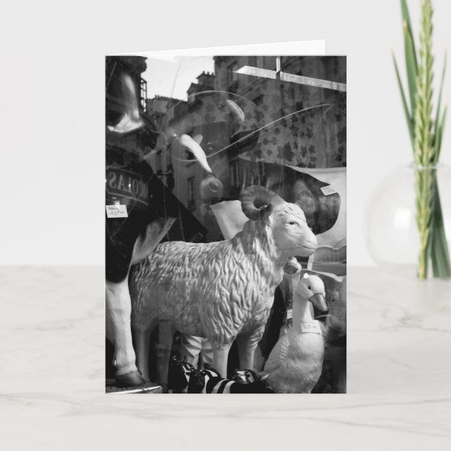 Carte La Campagne à Paris rue Daguerre Vaches ovine (Devant)