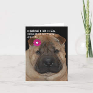Carte La carte-Juste d'anniversaire de Shar Pei se