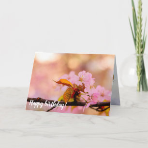 Carte La Chaleur Des Fleurs Sakura Au Printemps