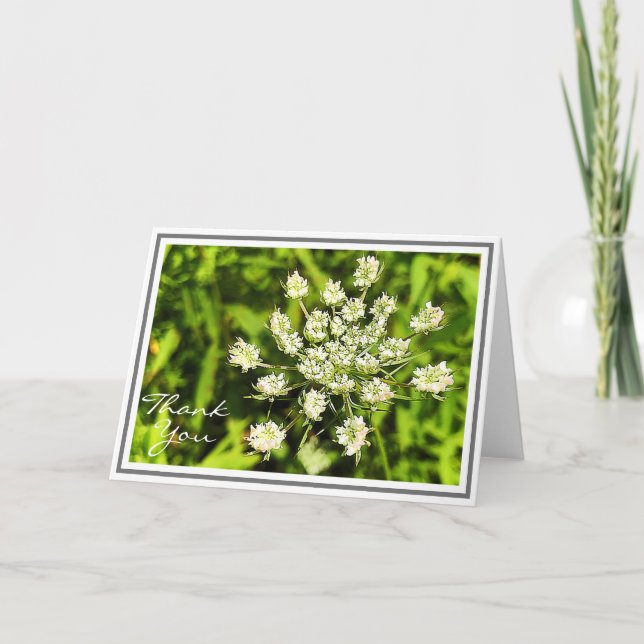 Carte La dentelle blanche de la reine Anne (Devant)