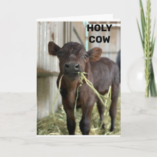 CARTE LA DERNIÈRE MOOS EST QUE VOUS ÊTES ***50***