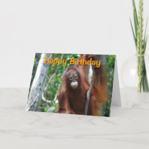 Carte La faune Joyeux anniversaire