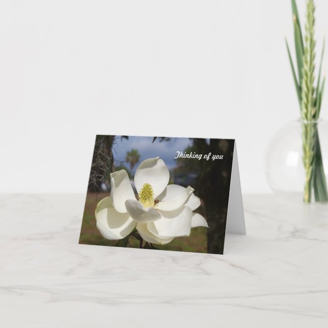 Carte La fleur blanche de magnolia indique la pensée à (Devant)