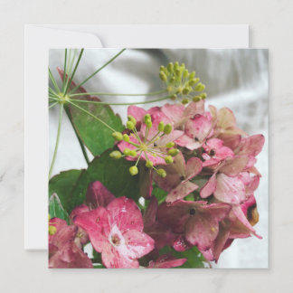 Carte La fleur des hortensias frappe la pluie et le dill