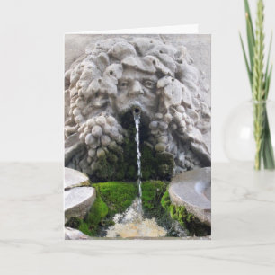 Carte La fontaine de la jeunesse