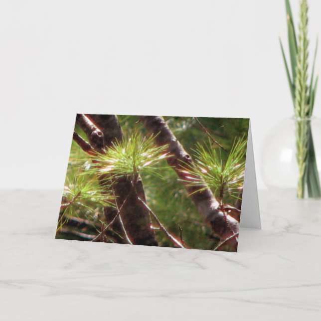 Carte La forêt réveillée (Devant)