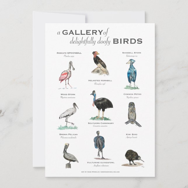 Carte La Galerie des Oiseaux délicieusement Doofy 5x7 Ca (Devant)