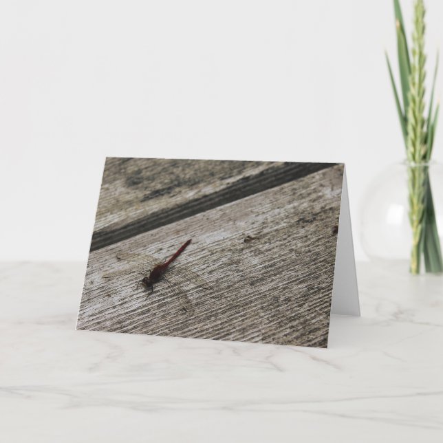 Carte La libellule rouge (Devant)