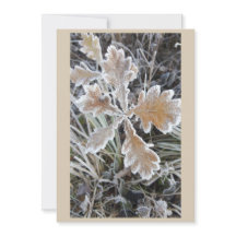"La Magie d'hiver