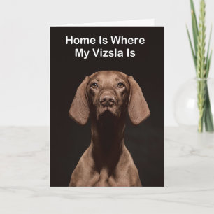 Carte La maison est où est mon Vizsla