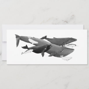 Carte La Nage Des Baleines Illustration Art Whale Card