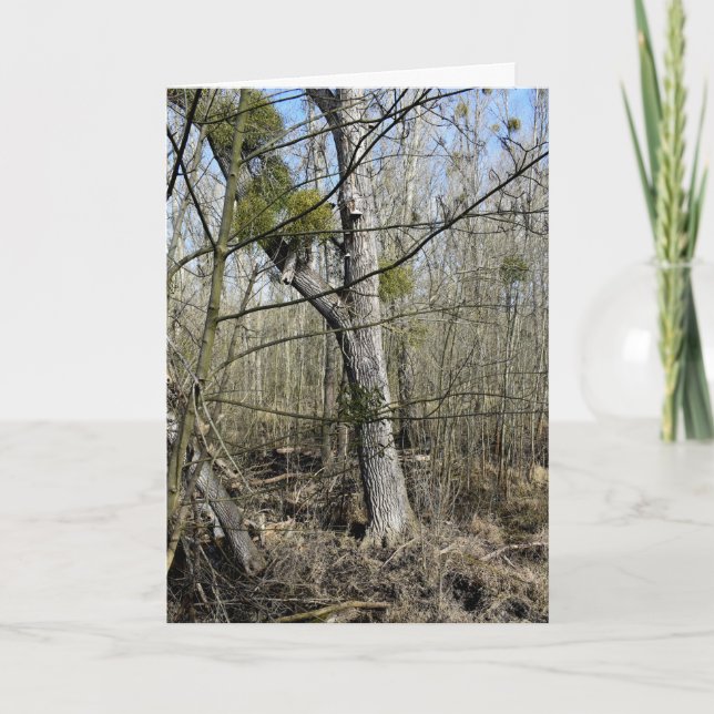 Carte La nature des Madowlands (Devant)