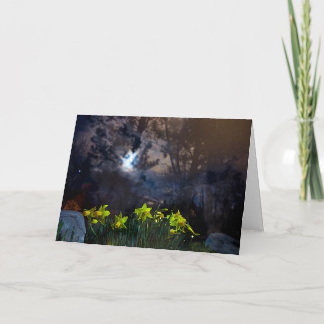 Carte la nuit nous appartient (Devant)