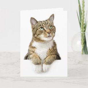 Carte La pensée à vous cardent