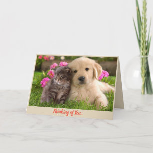 Carte La pensée à vous obtiennent bien