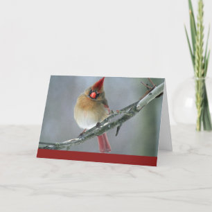 Carte La pensée cardinale à vous cardent