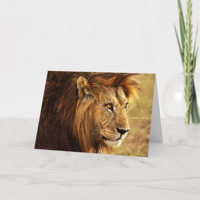Carte La photo Noble Lion (Devant)